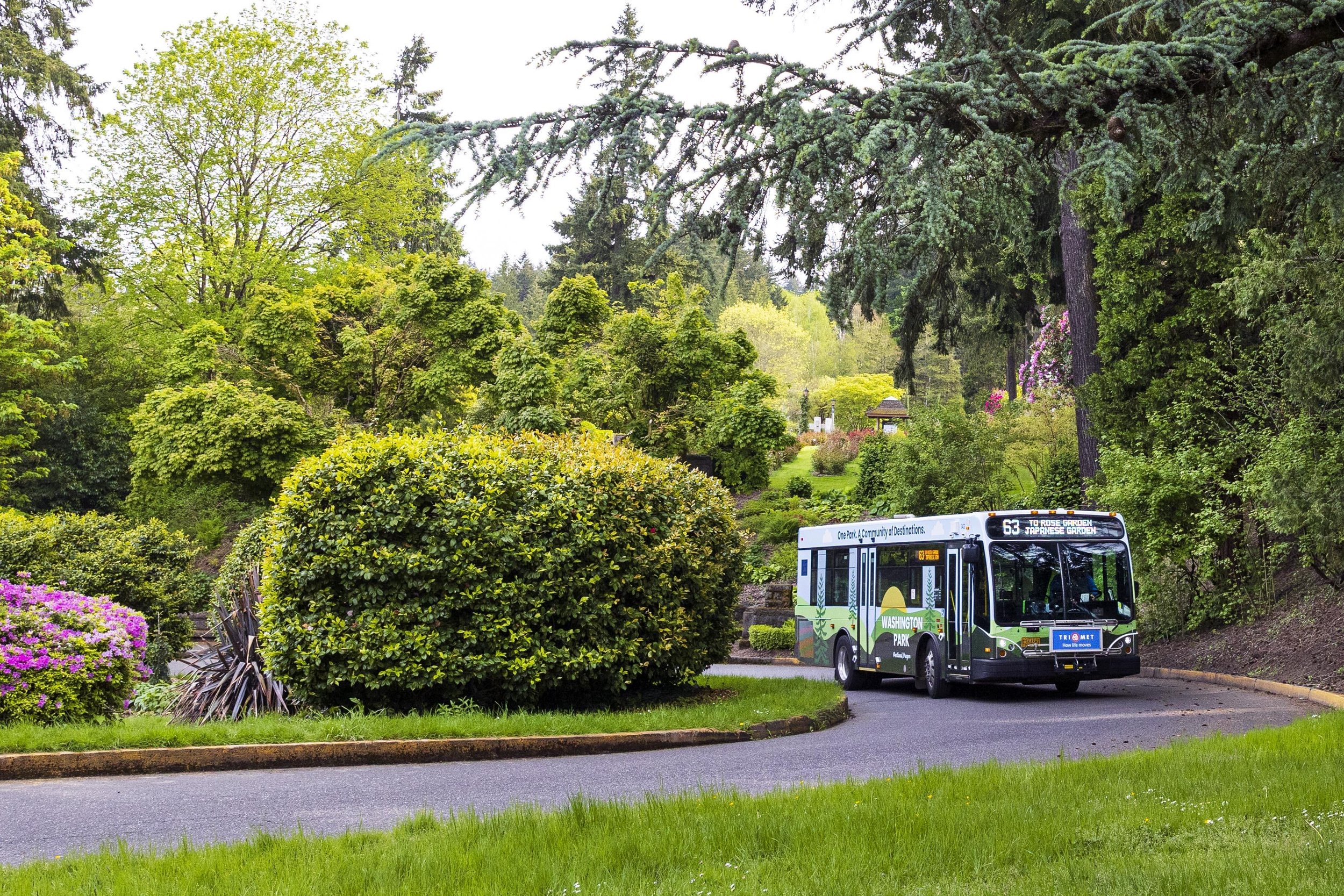 A TriMet bus driving through Washington Park, shown next to information about combining transit with biking or walking.”