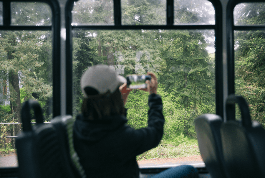 A visitor photographing the forested scenery from inside the Washington Park Free Shuttle