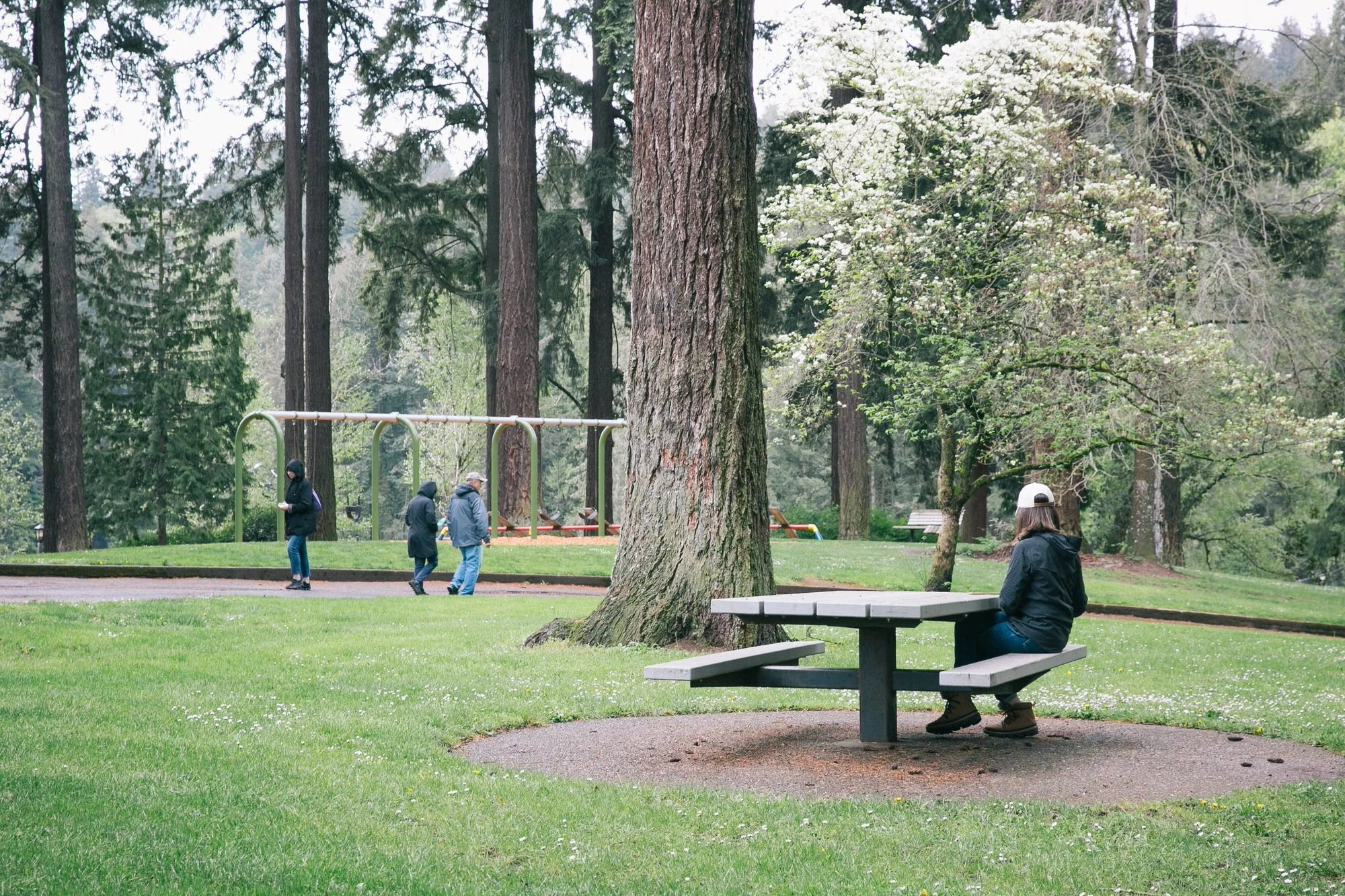 Hidden Picnic in the Park