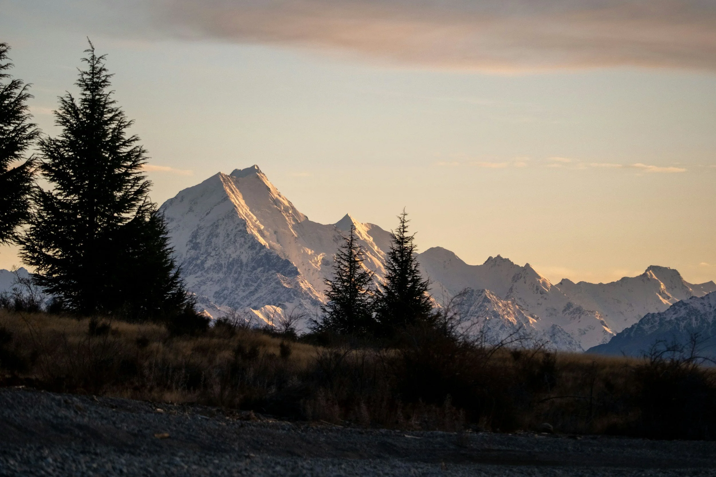 Snow-capped mountains at sunset viewed from a flat plain with evergreen trees in the foreground.