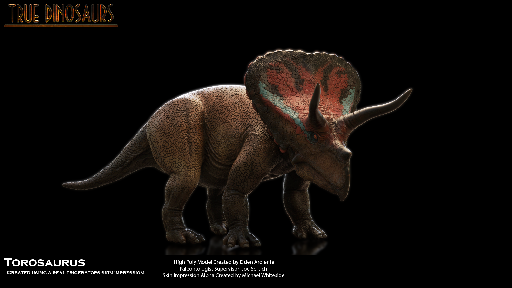 Torosaurus_Mouth Closed.png