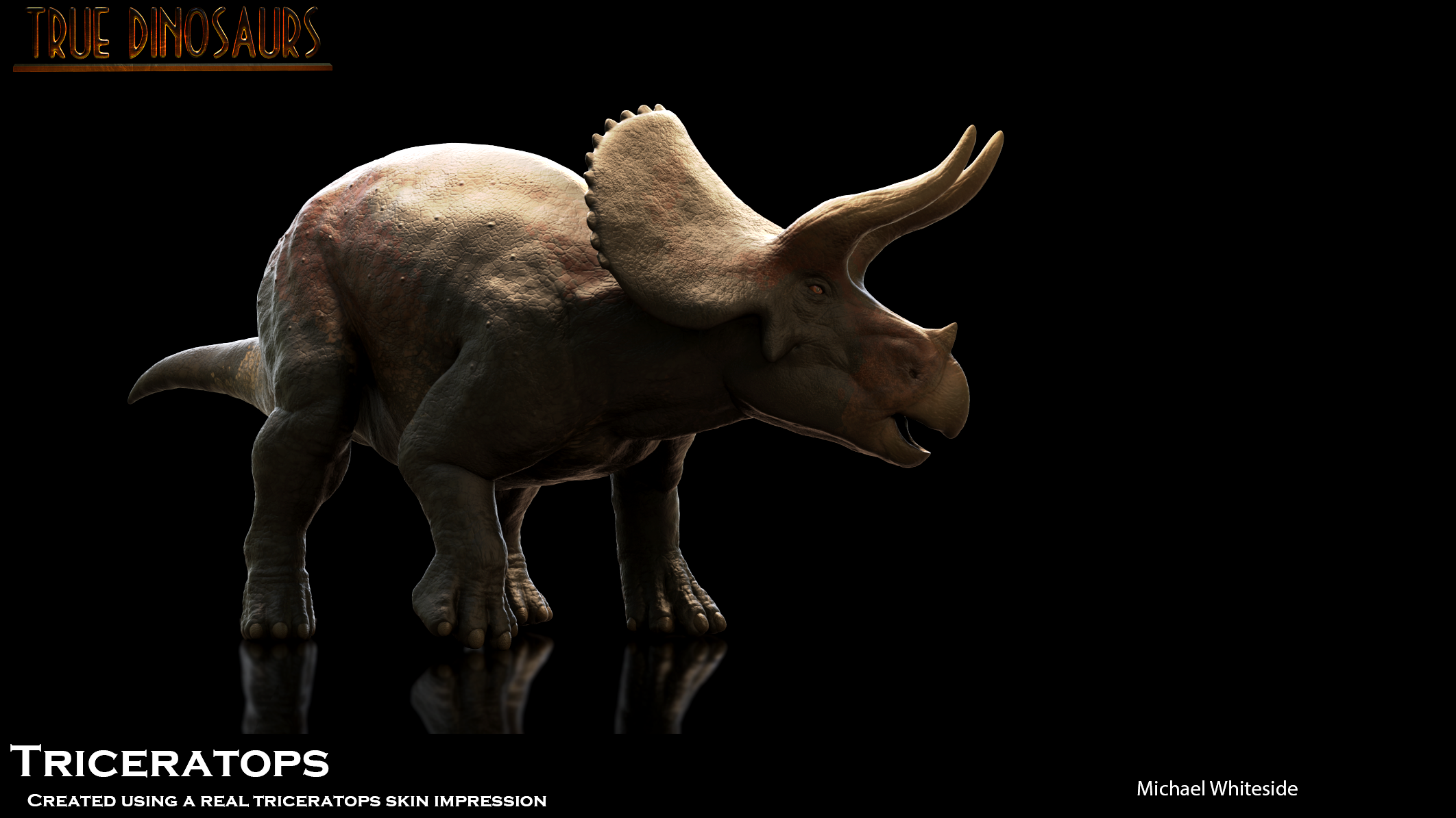 Triceratops 34.png