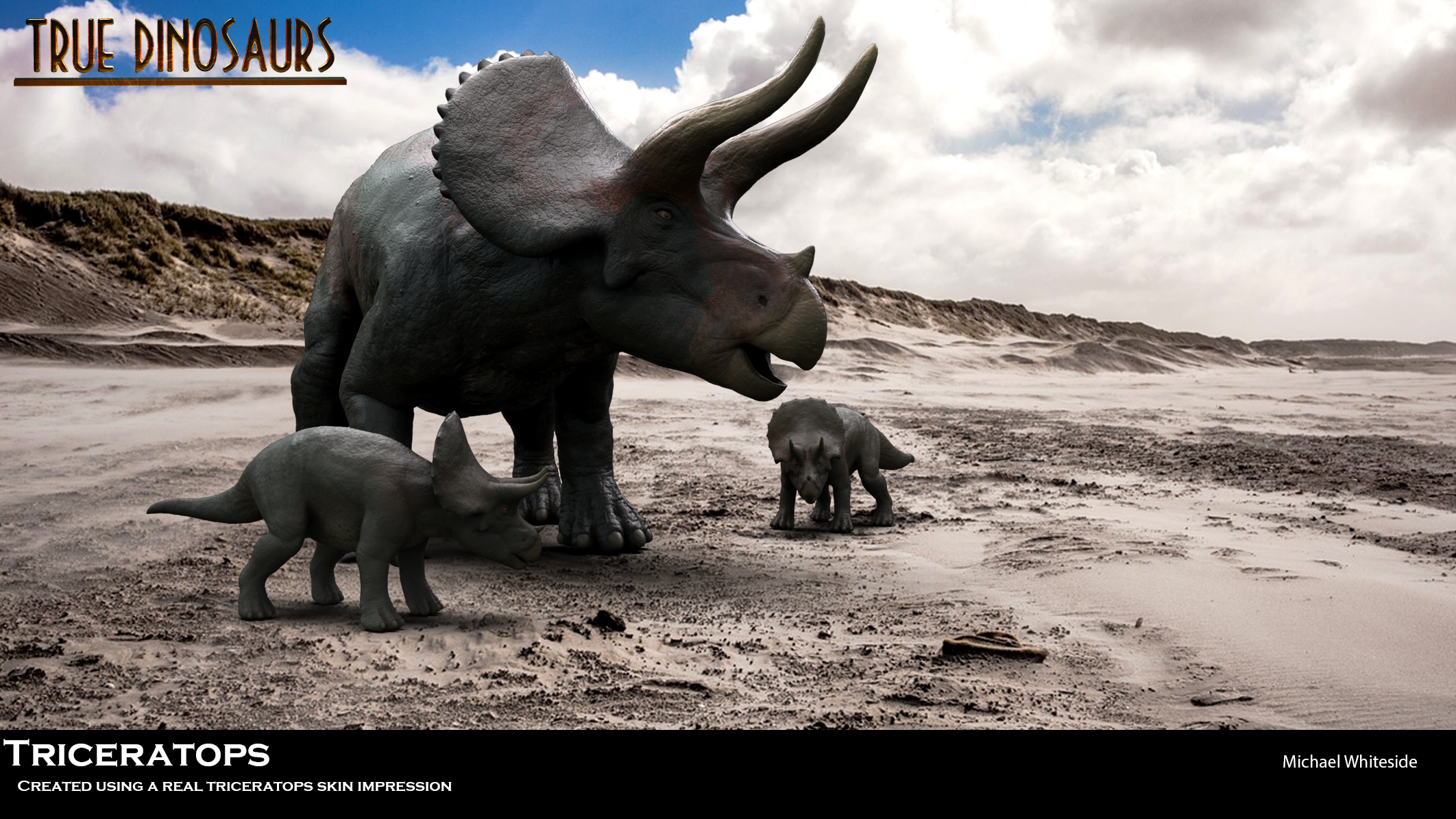 Triceratops Family.png