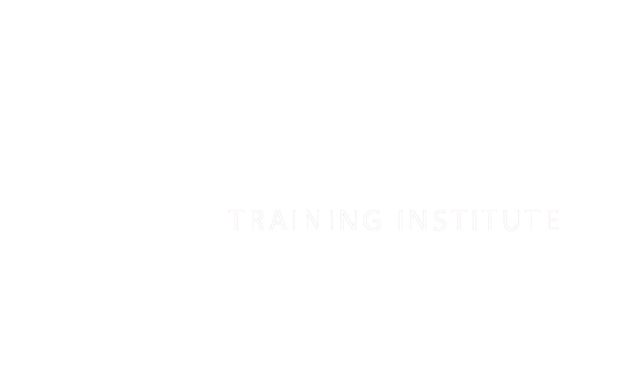 Logo for CO-ACTIVE Training Institute featuring a stylized circular design of small shapes and the text 'CO-ACTIVE TRAINING INSTITUTE' in white on a black background.