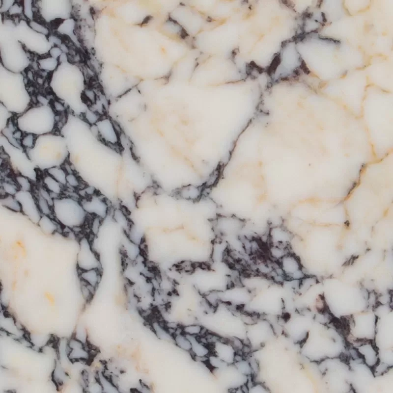 Calacatta Viola 1.webp