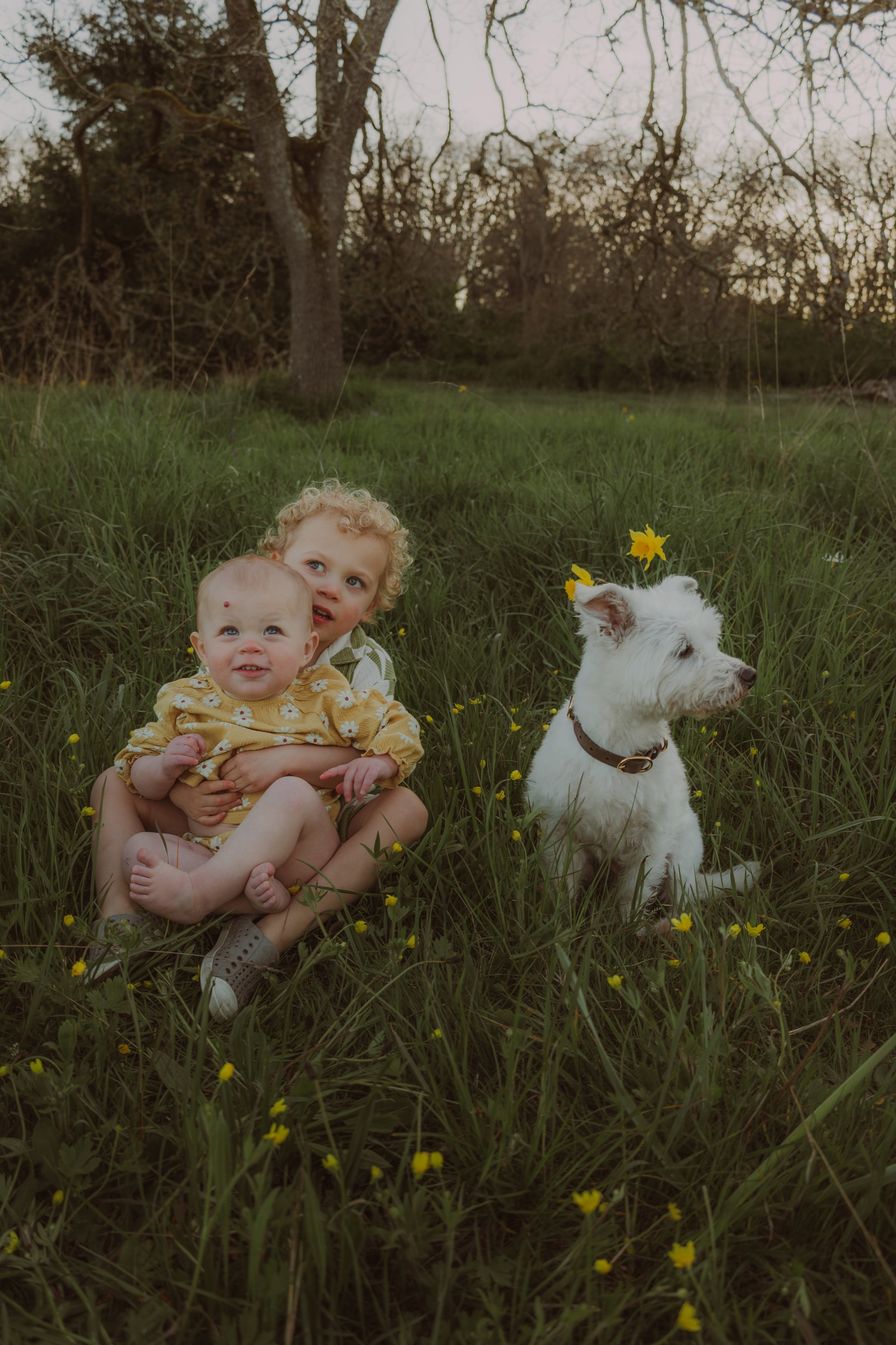 JadeFamilyPhotos-55.jpg
