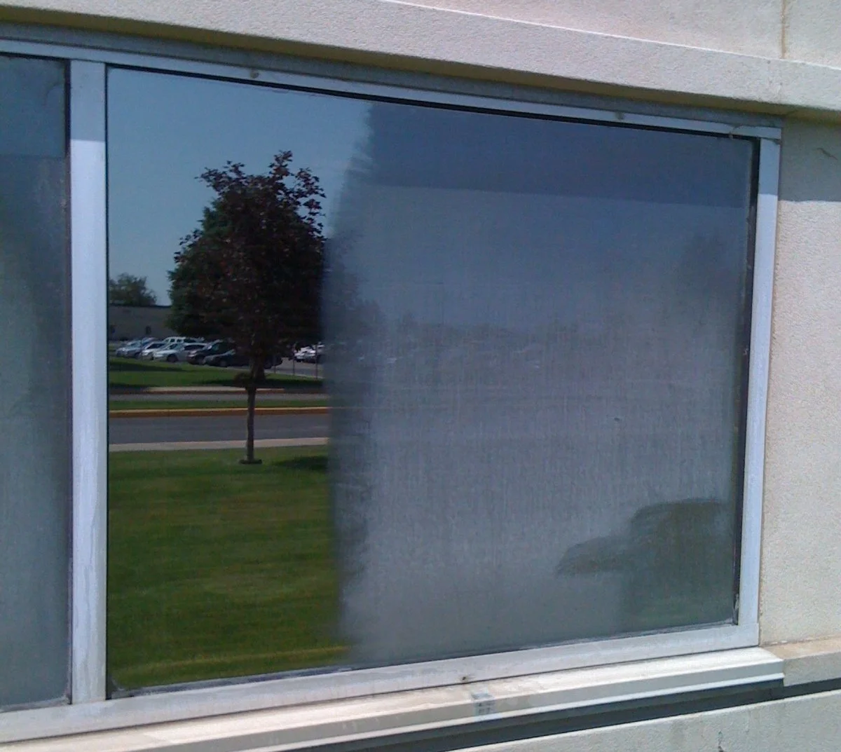 A window with a partial screen or film, reflecting a tree, parked cars, and a grassy area outside.