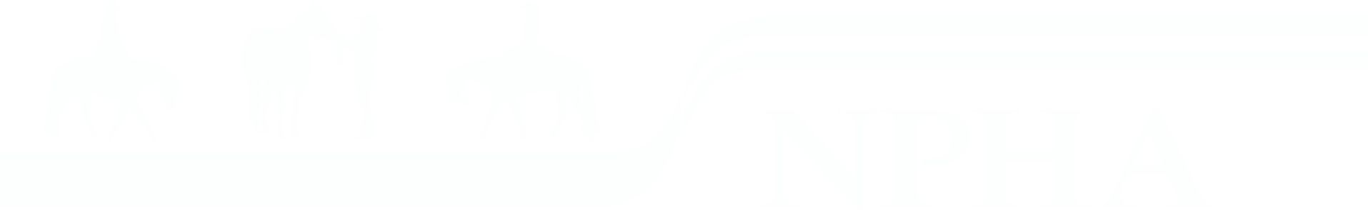 National Pleasure Horse Association of Australia | Become A Member Today!