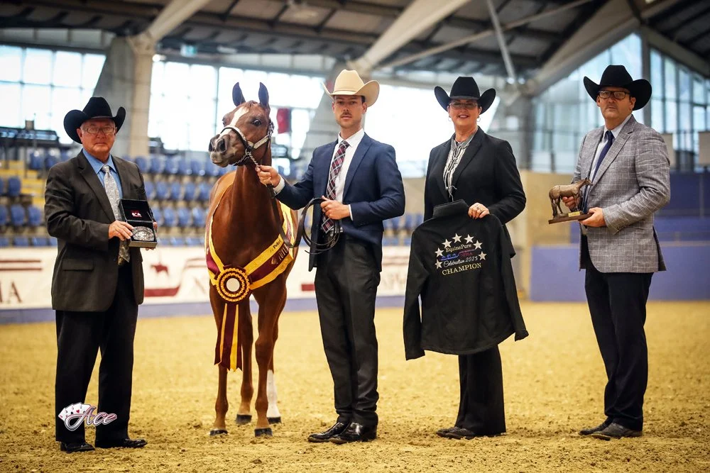 Four people in western attire, including cowboy hats, are standing inside an indoor arena in Sydney Australia. One of them holds a horse with a ribbon, and another holds a trophy. The group appears to be celebrating a win in a halter futurity event.