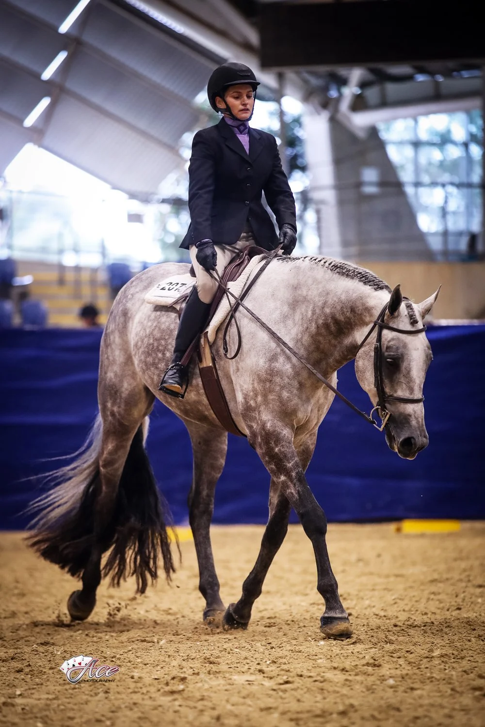 A young female equestrian rider in english attire, including a helmet and blazer, riding a grey quarter horse in an indoor arena in a hunter under saddle class event.