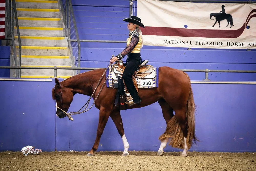 A woman sitting on a chestnut quarter horse in an indoor arena with blue walls, wearing a black cowboy hat, a yellow shirt with black lace sleeves, and black chaps, competing in western pleasure, showing the horse at the jog.