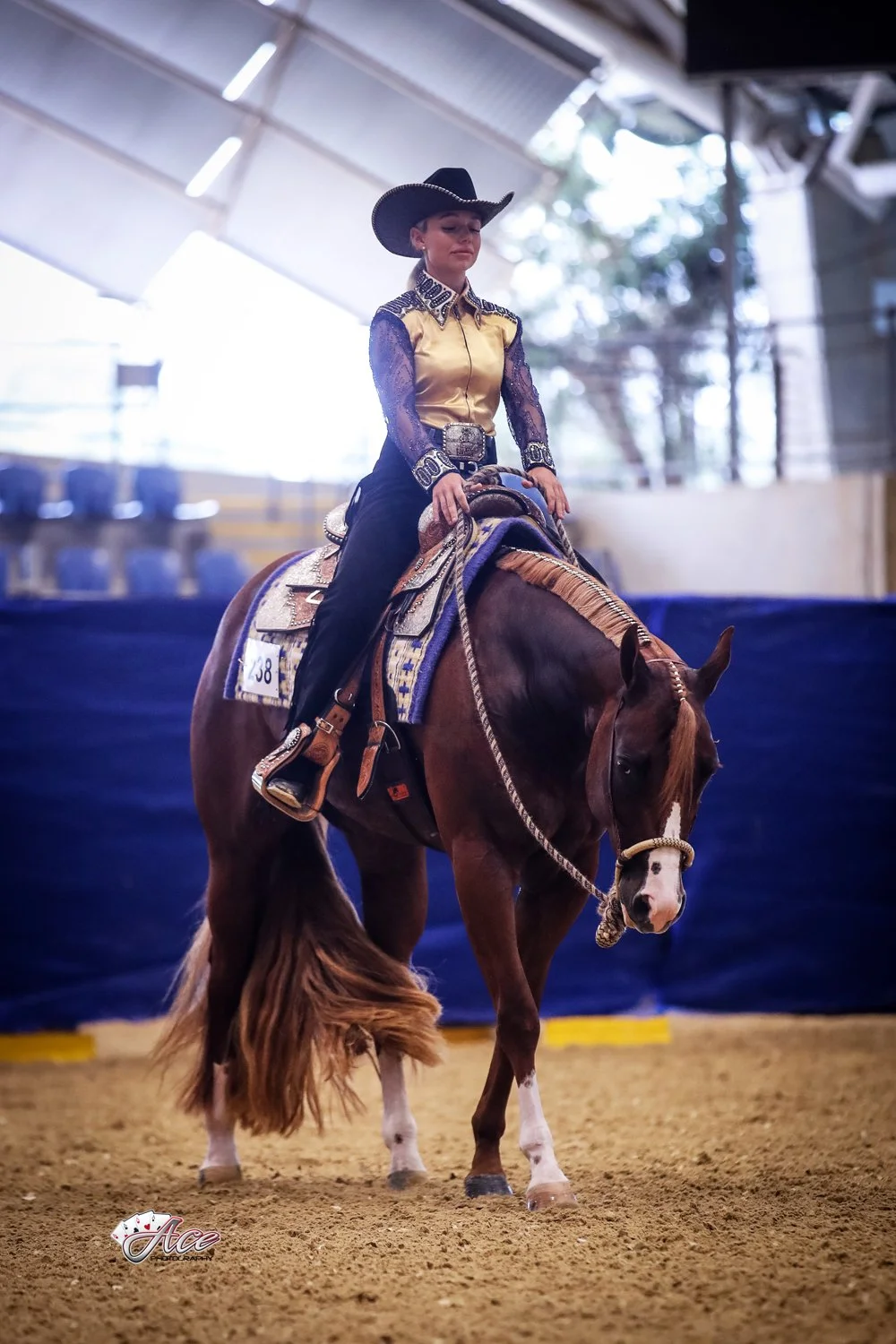 A woman dressed in western riding attire, including a cowboy hat, jogging quarter horse, at Sydney International Equestrian Centre.