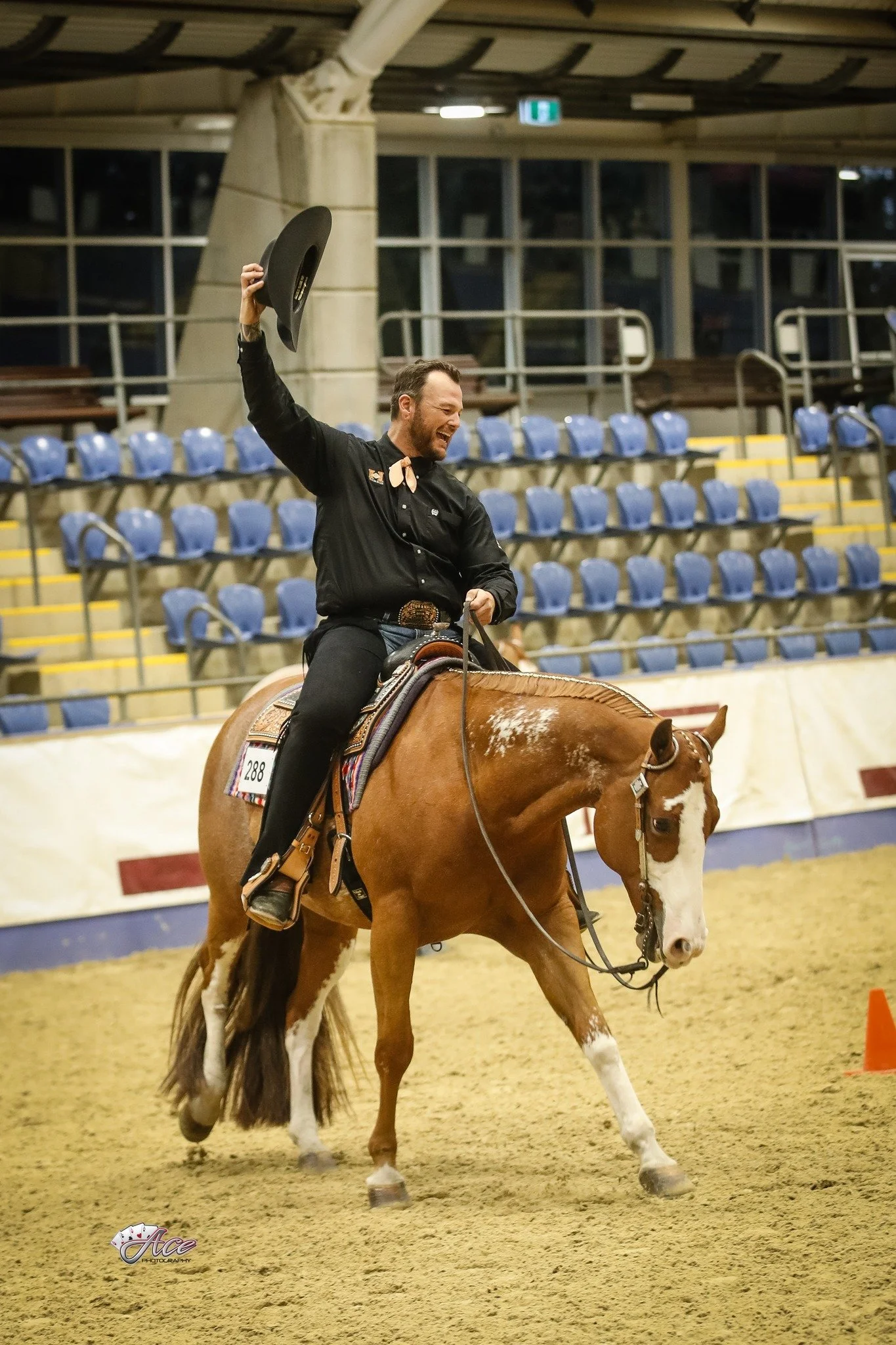A man riding a paint horse inside an indoor arena, smiling and holding a black cowboy hat in the air, winning western pleasure horsemanship class.