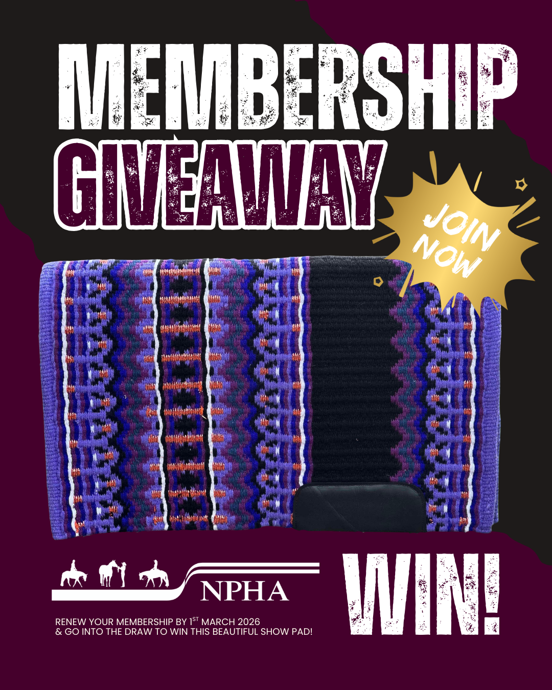 Npha Formula National Pleasure Horse Association of Australia | Become A Member Today!