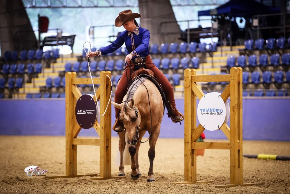 A woman riding a horse through a trail gate obstacle course in an indoor arena with blue seats. She is wearing a cowboy hat and western attire, guiding the horse trail gate at a western performance show australia.
