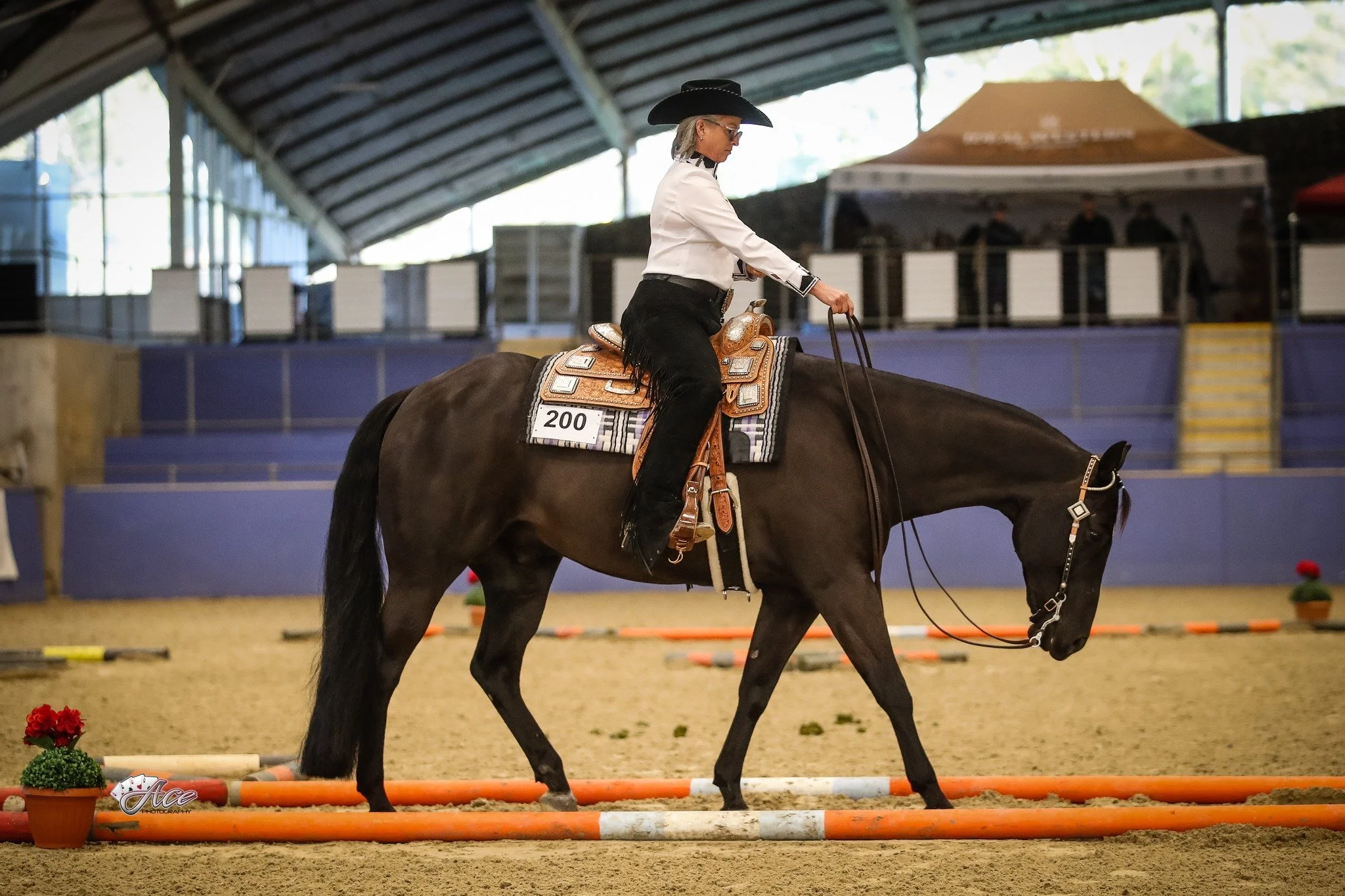 A woman riding a dark brown quarter horse through an indoor equestrian arena, participating in a trail event at a western performance show.