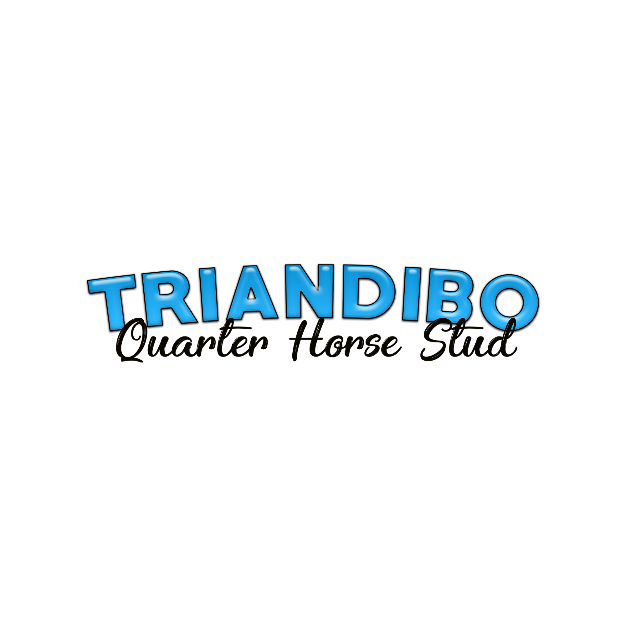 Logo for Triandibo Quarter Horse Stud featuring bold blue text and a black script font on a white background.