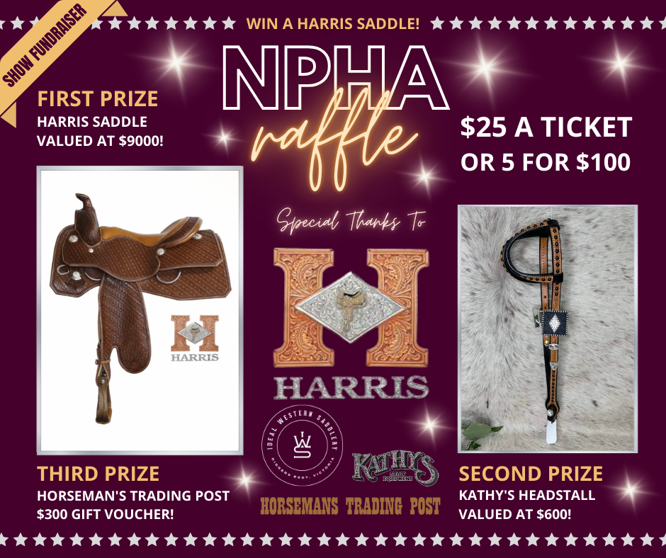 National Pleasure Horse Association of Australia | Become A Member Today!
