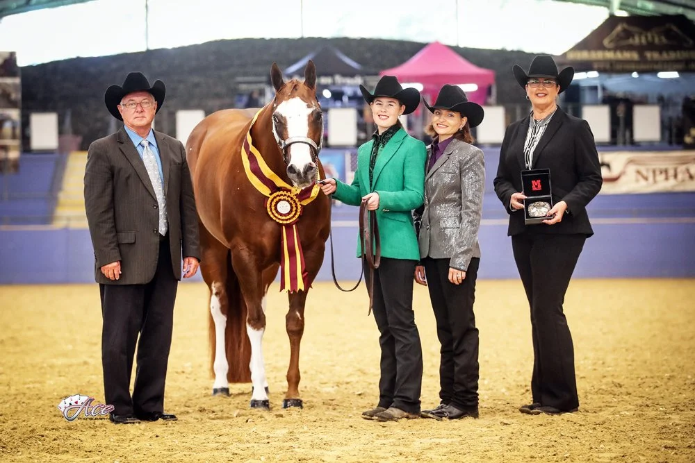 Four people in cowboy attire standing with a chestnut horse inside an indoor arena. The halter horse has a ribbon around its neck, indicating a win at a competition. One woman holds the horse's lead, and the other women and man are posing proudly.