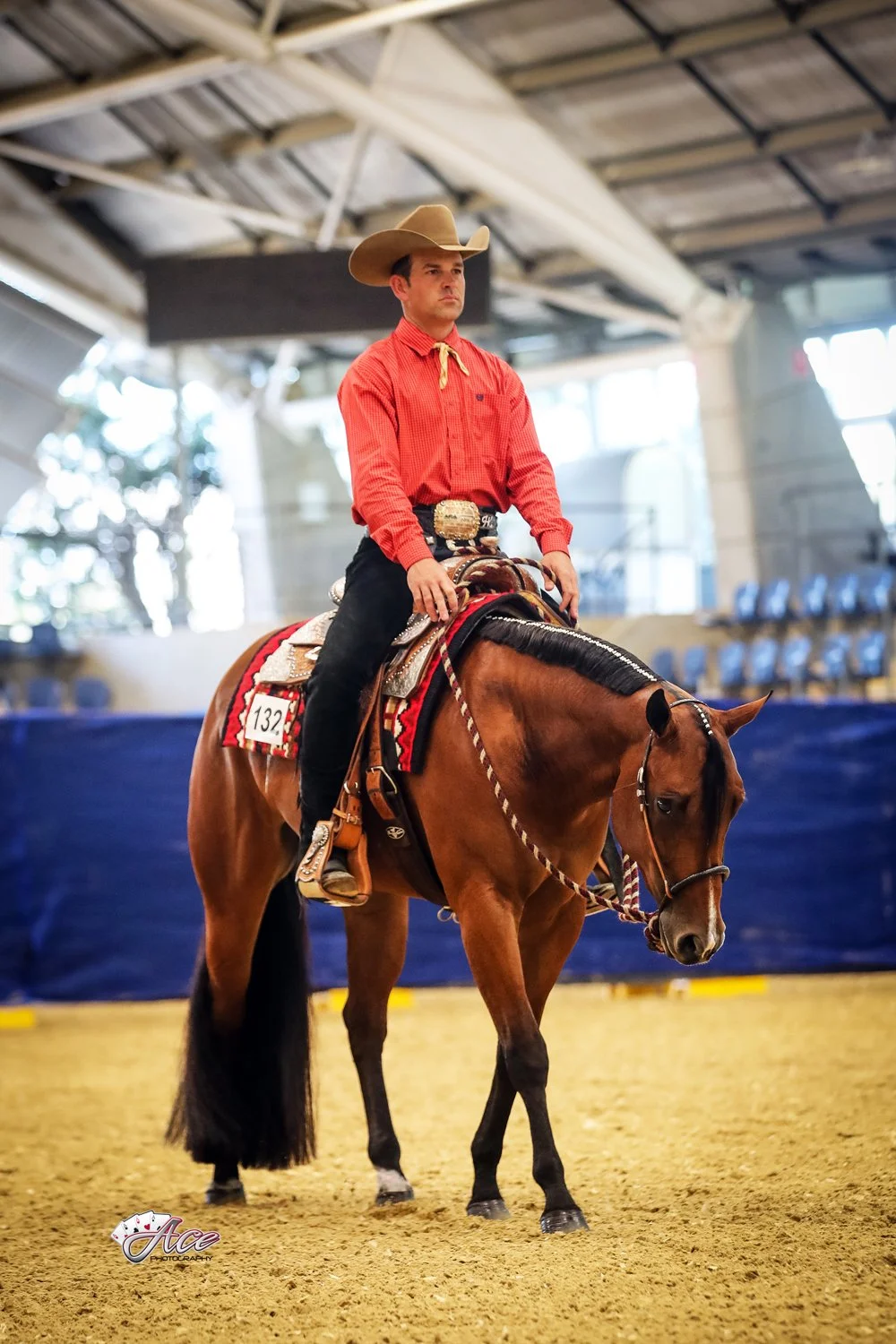 A man in western attire sitting on a brown quarter horse inside an indoor arena. The man is wearing a cowboy hat, red shirt, and black chaps, with a decorative belt buckle. Western pleasure futurity in Australia.