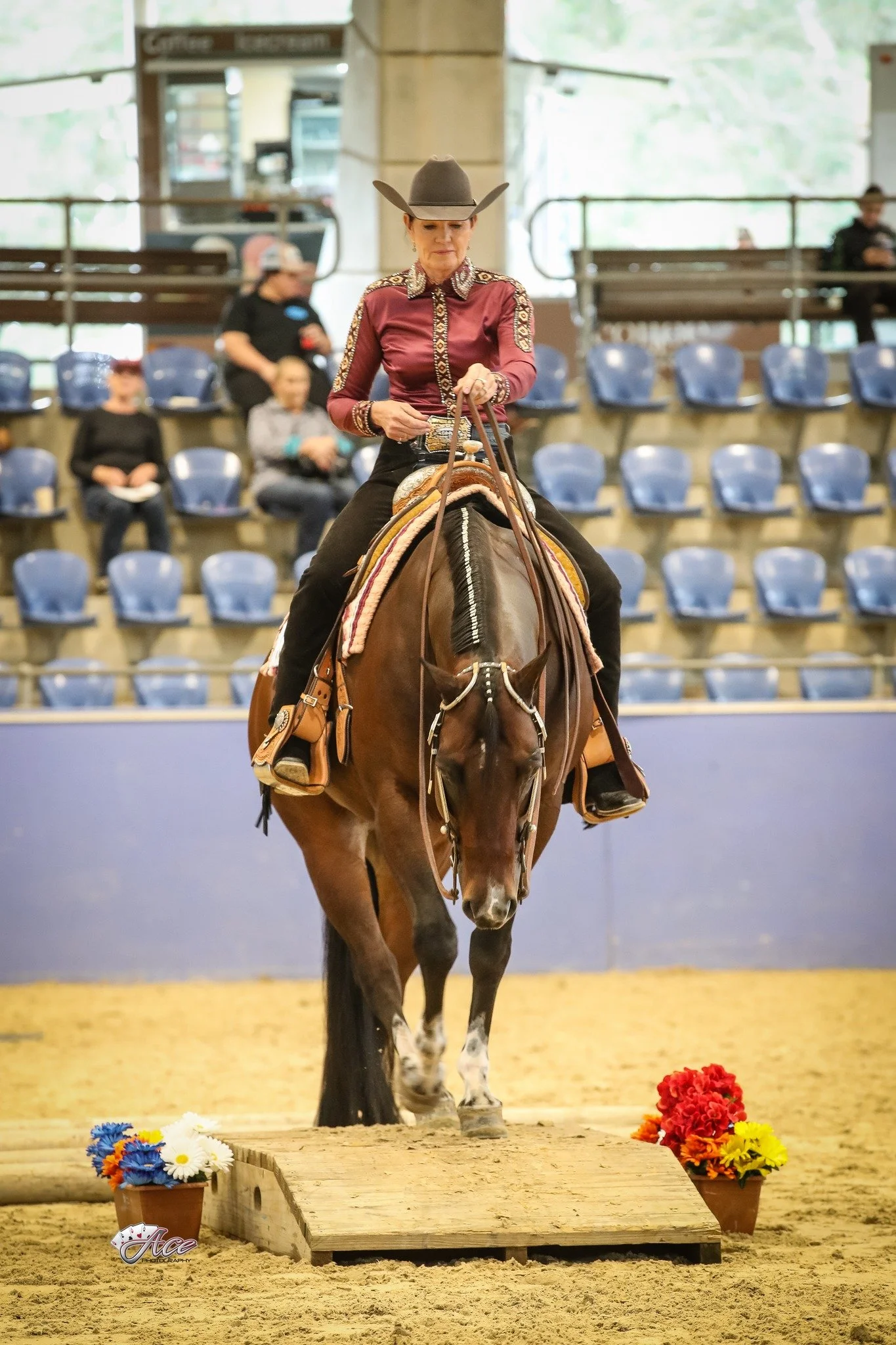 A woman wearing a cowboy hat and western attire is riding a horse over a trail bridge in an indoor arena. There are spectators seated in the background at the NPHA Celebration Show SIEC.