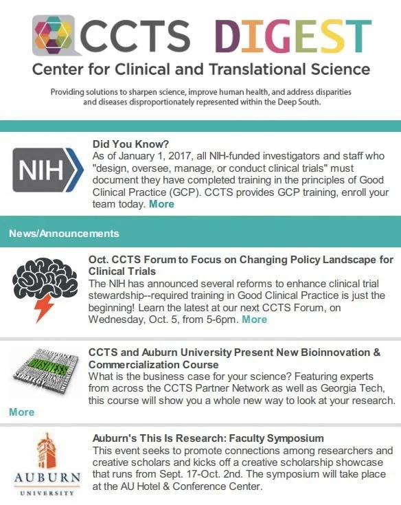 The image is a digital newsletter that was deployed to subscribers on a weekly basis.