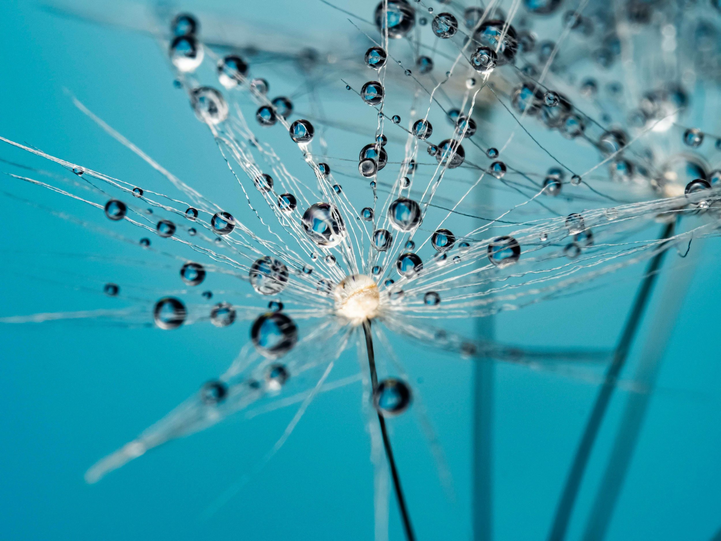 Lab or Department Faculty Development Analysis & Plan