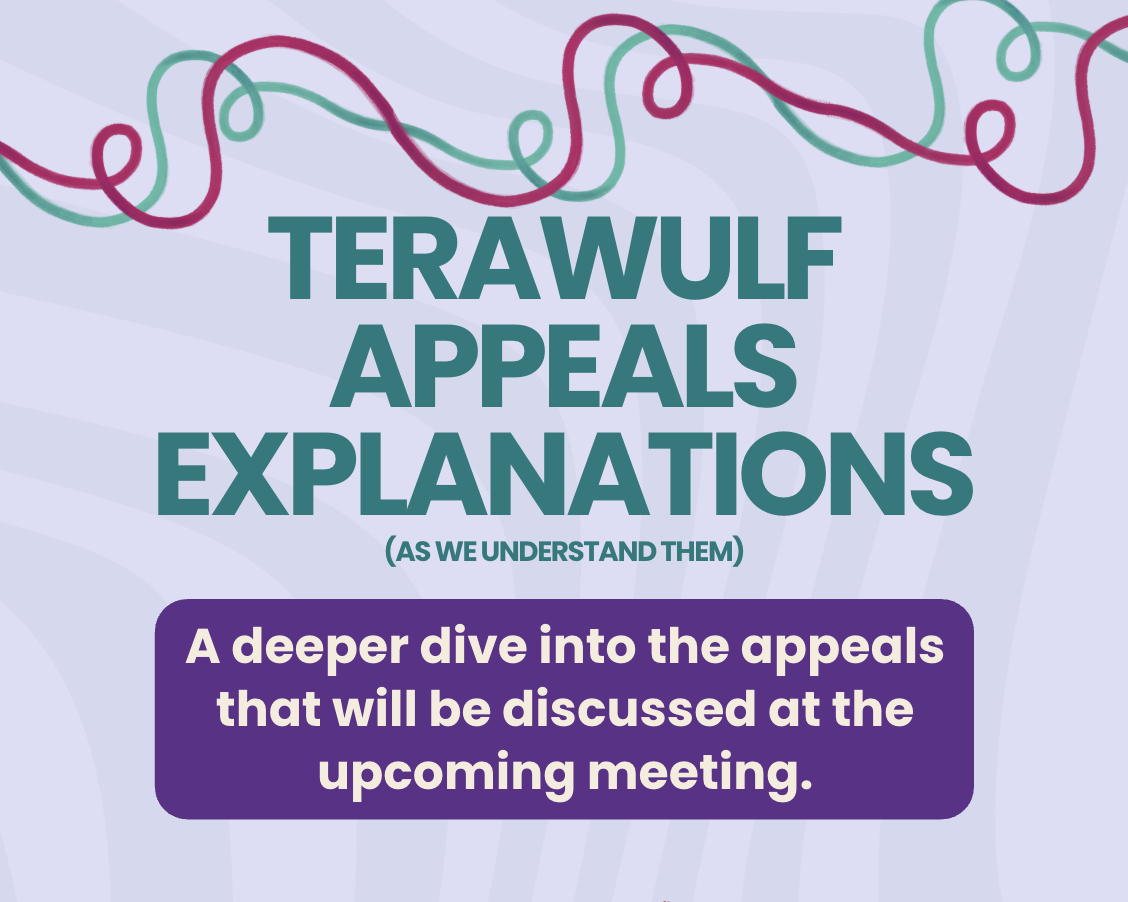 Terawulf Appeals Explanations (As We Understand Them)