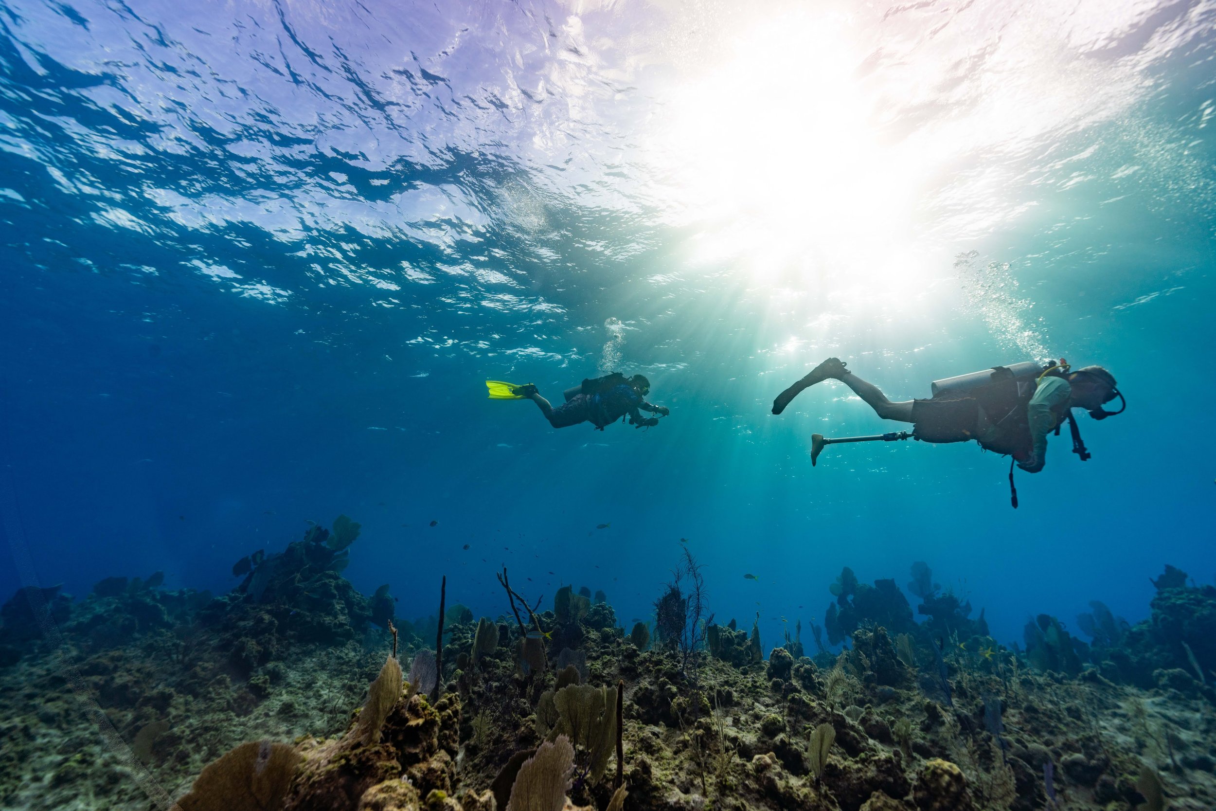 Two scuba divers exploring a coral reef underwater with sunlight shining through the water.