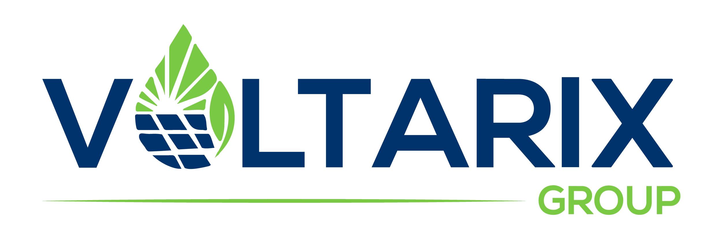 Voltarix Group logo featuring a pine cone and leaf design in green and blue with the text 'Voltarix' in dark blue and green.