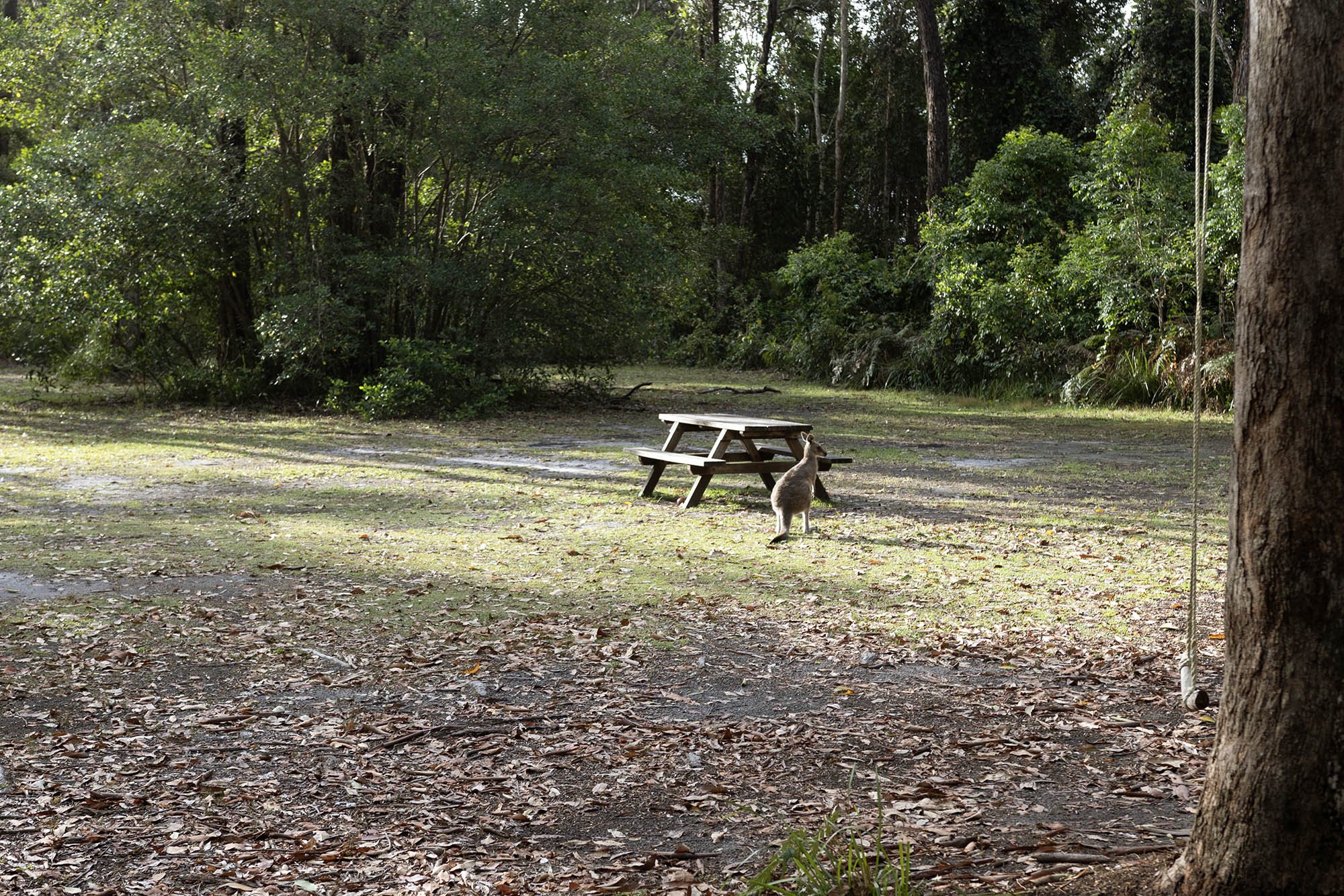 Celebrate your transition into adulthood with truth, purpose and Christ at the centre.