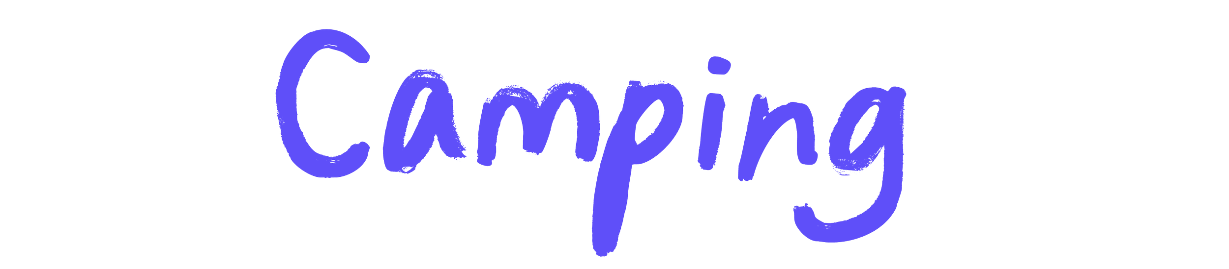 camping with friends for year 12 graduation