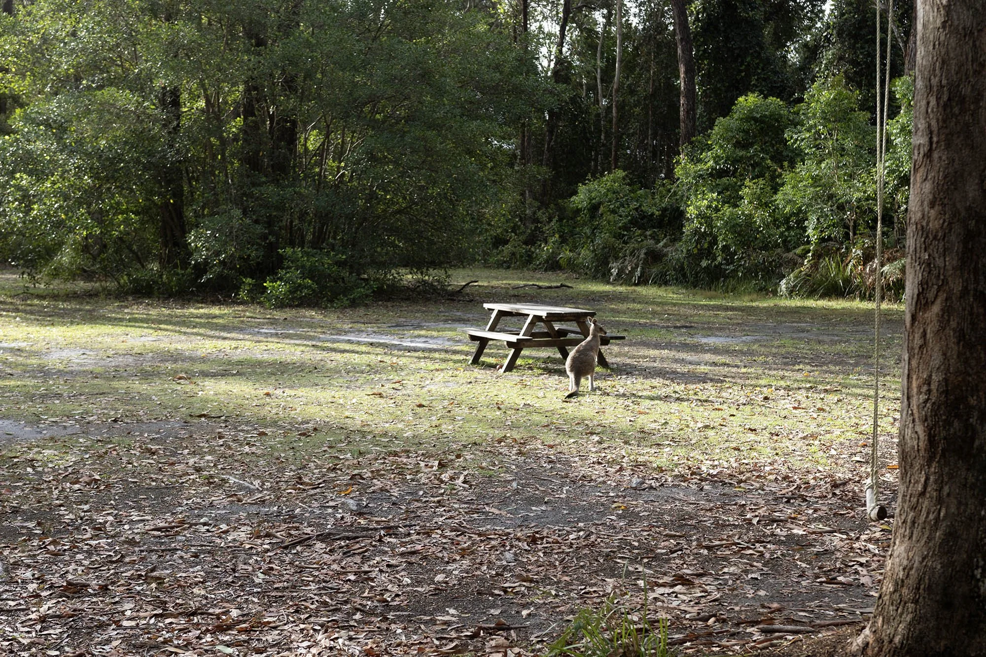schoolies camping adventures.