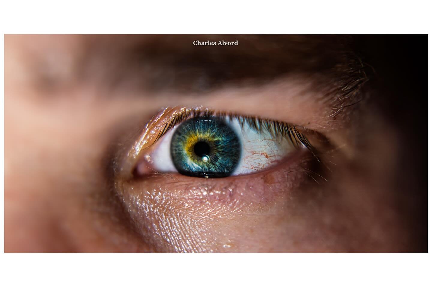 Don&rsquo;t lose sight.
&bull;
&bull;
&bull;
#eye #eyes #eyebrows #eyeball #iris #pupil #skin #face #macro #macrophotography #bokeh #photos #photo #photographer #photography #colorful #color #colors #close #closeupphotography