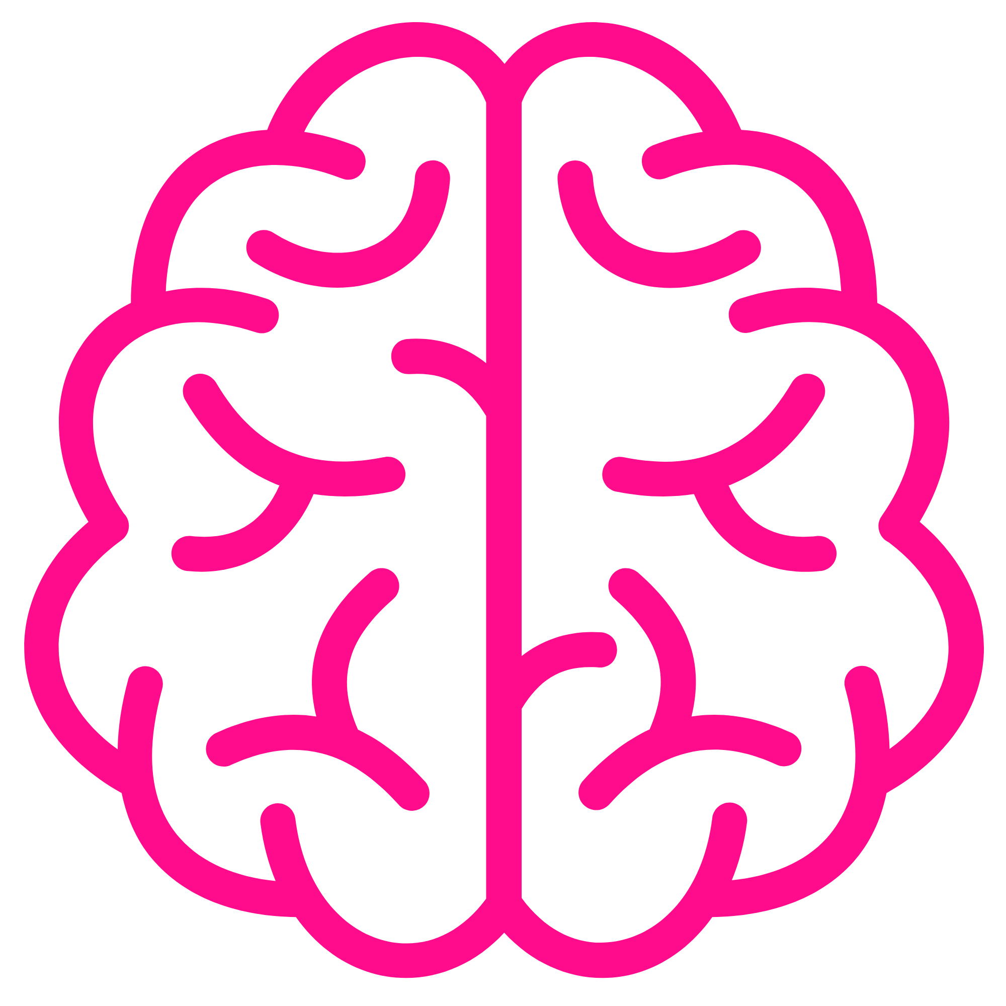 A stylized pink outline of a human brain on a white background.
