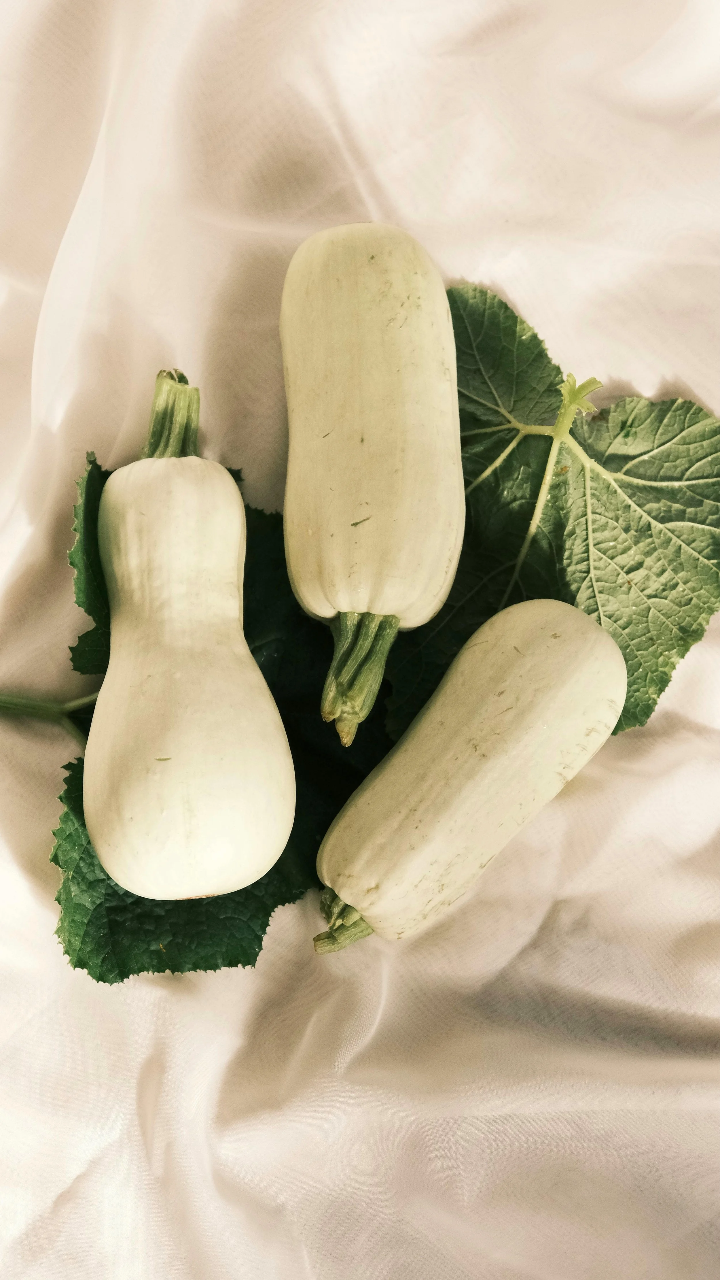 Blog Post Title Four