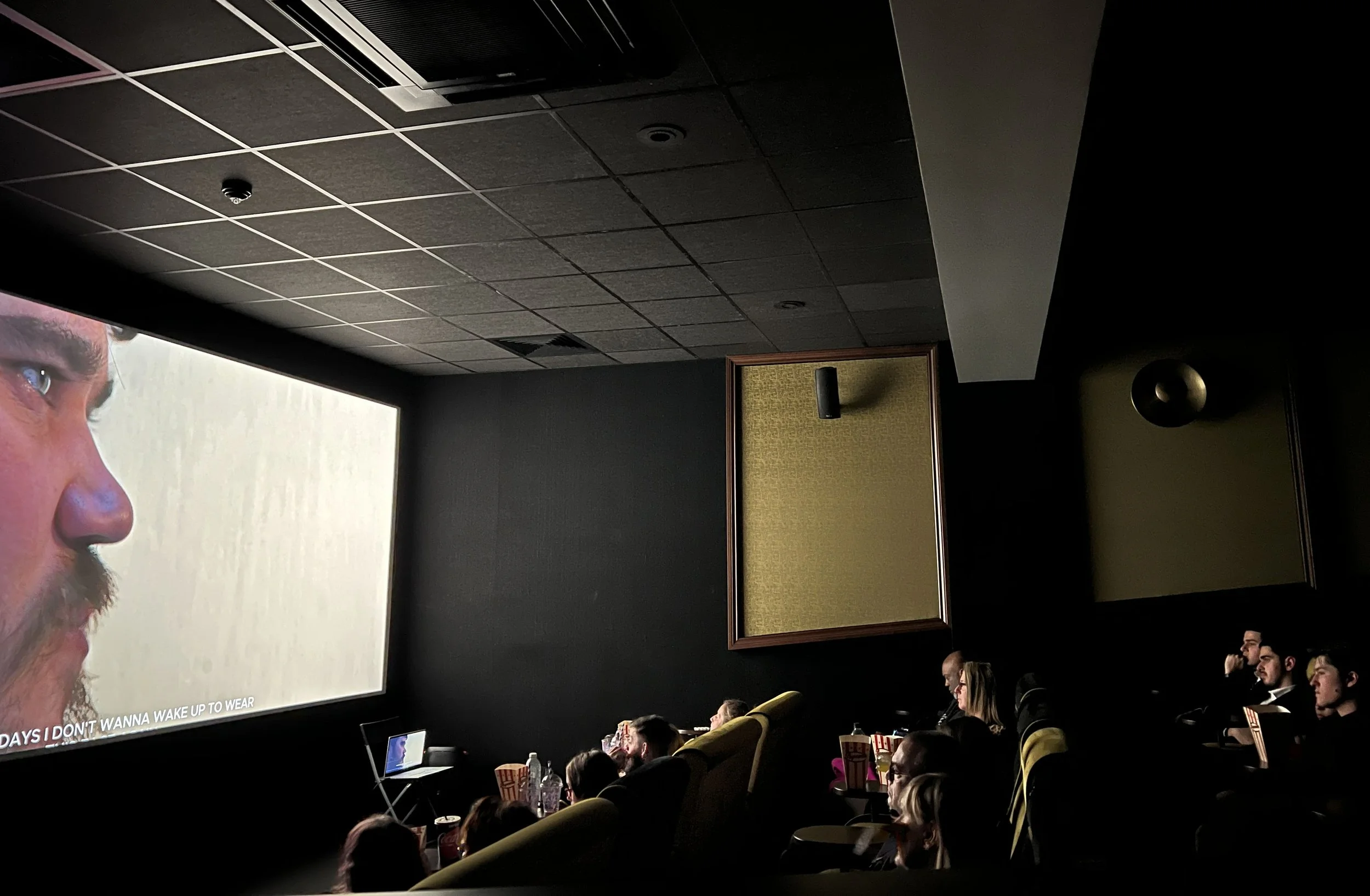 People watching a movie in a theater with a large screen showing a close-up of a man's face.