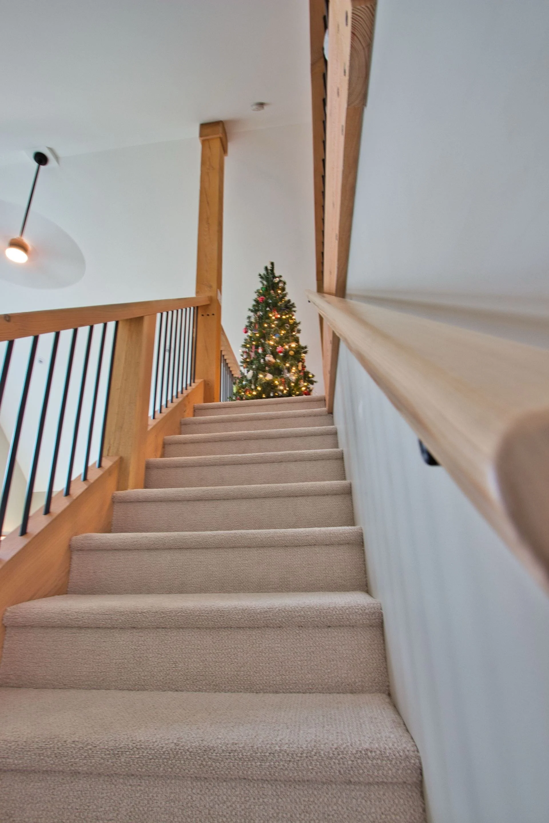 Böehm Construction - Athena Project 18.jpeg