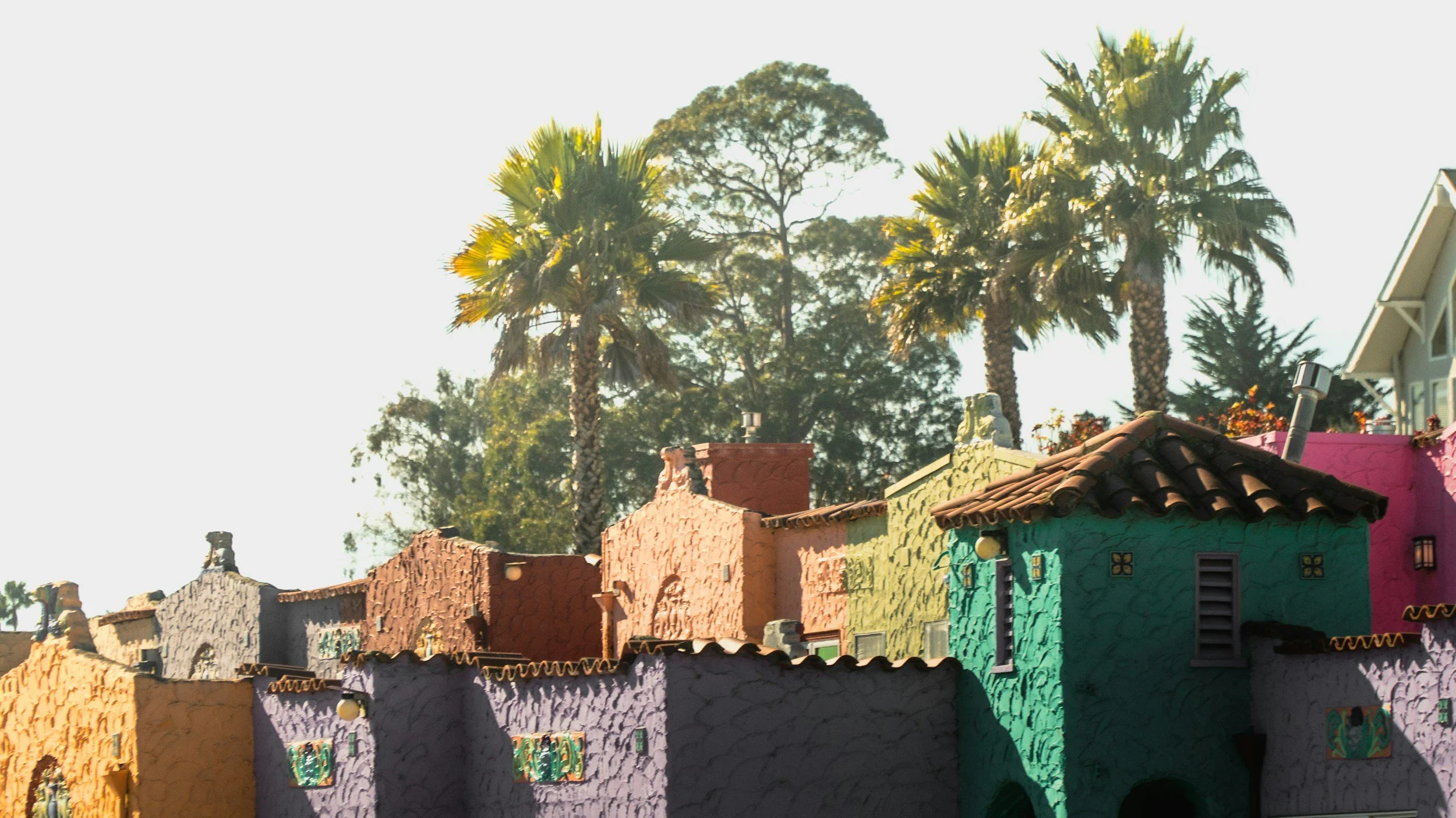 Colorful houses with textured walls and small windows, with palm trees and taller trees in the background under a clear sky.