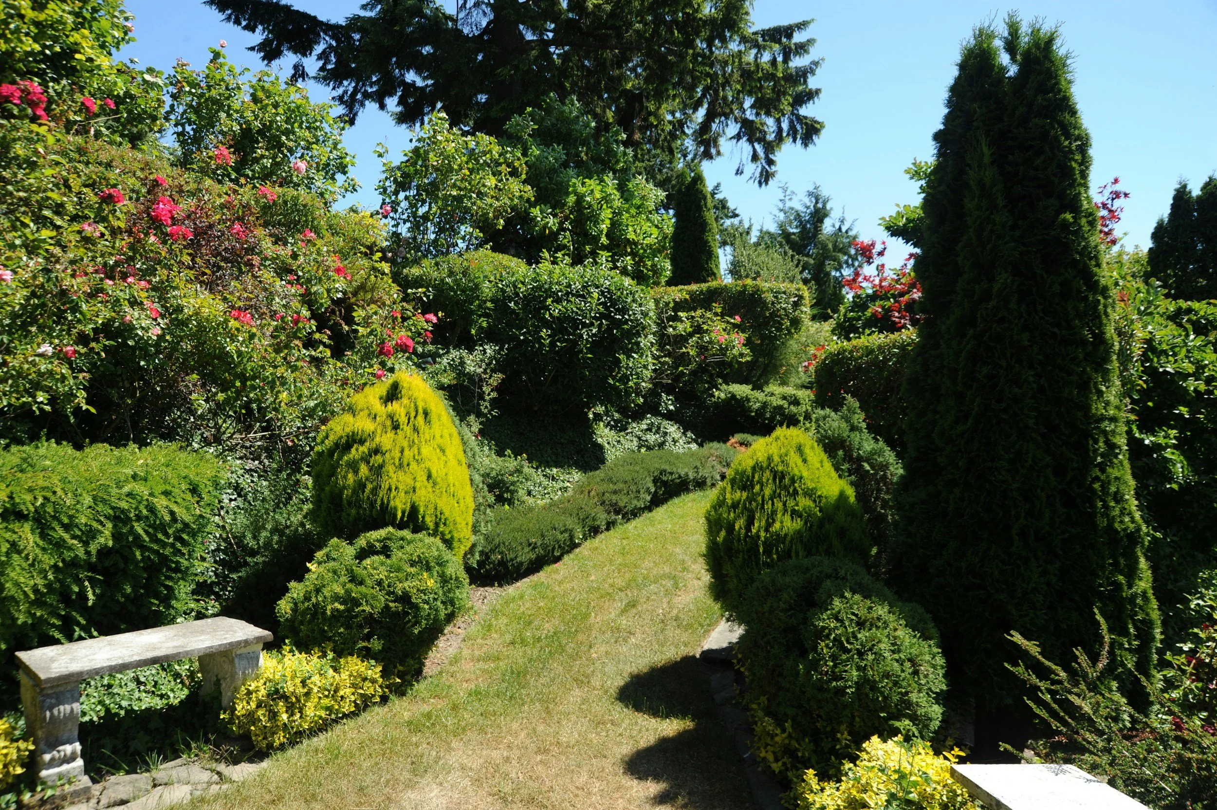 A lush garden pathway surrounded by various green bushes and trees, with a small stone bench on the left, under a clear blue sky.