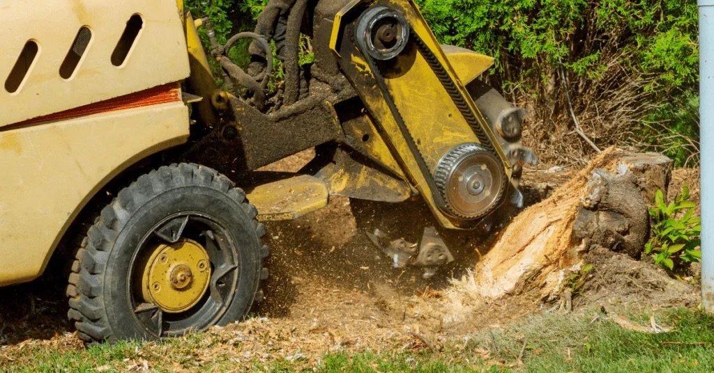 Grinding A Tree Stump in Michigan