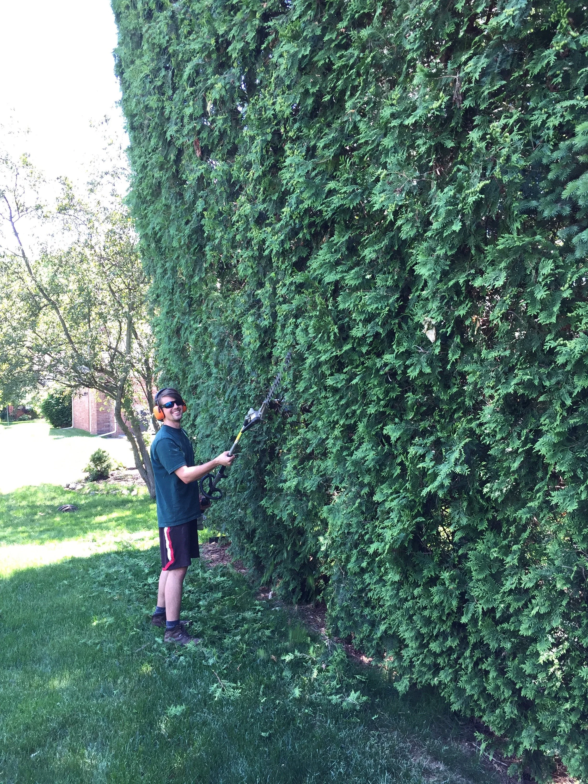 Shrub Shaping in Traverse City, MI.jpg