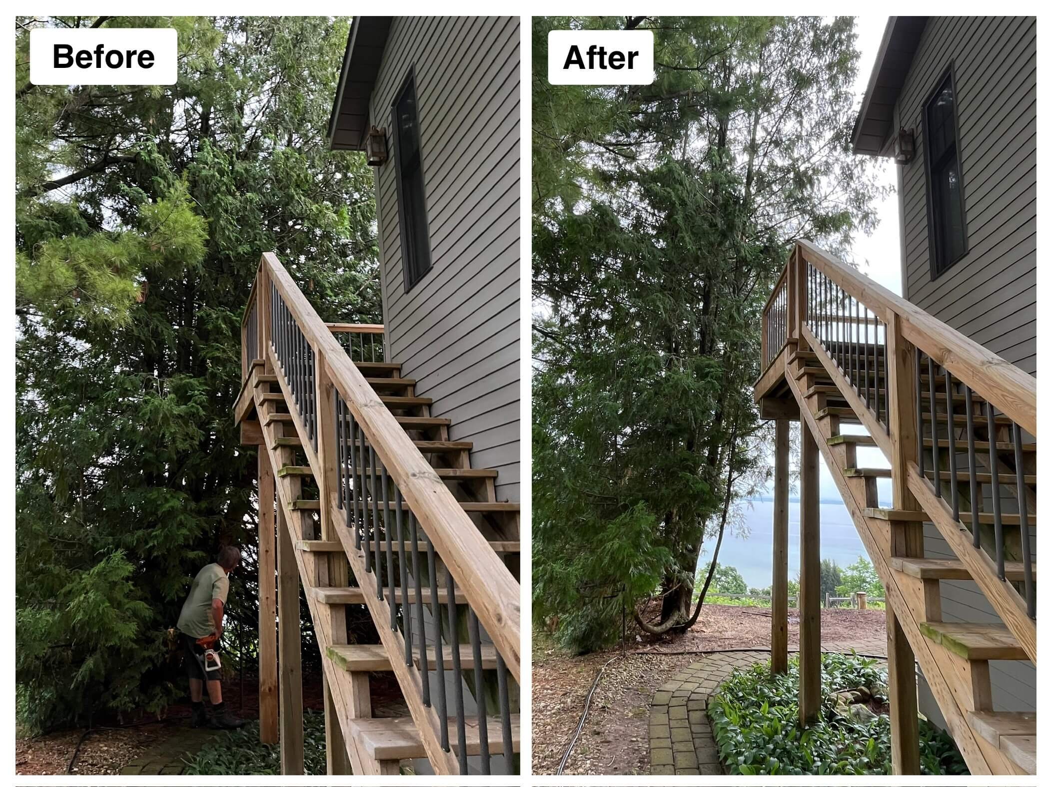 Cedar Job.jpeg