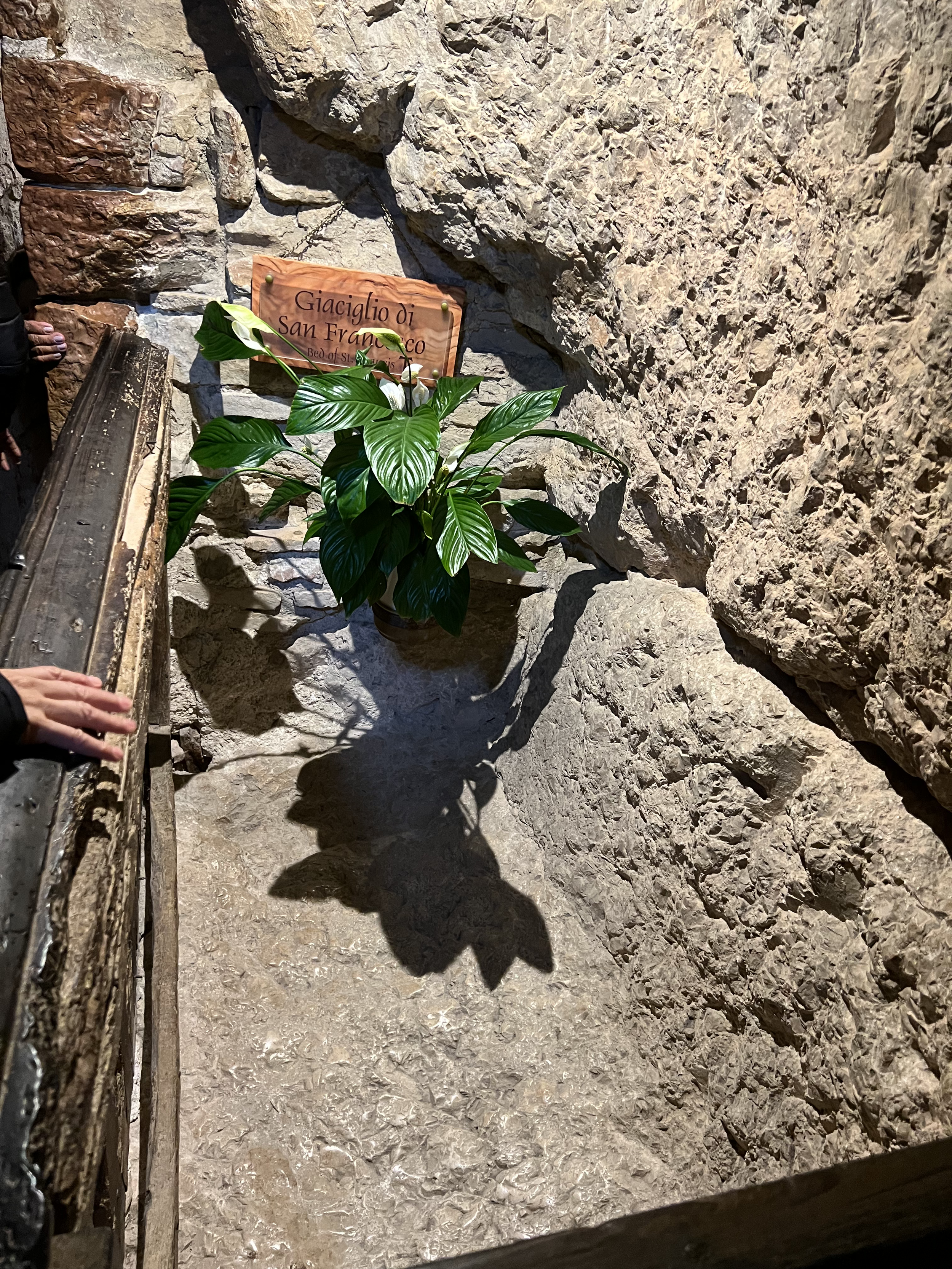 The bed were Francisco slept