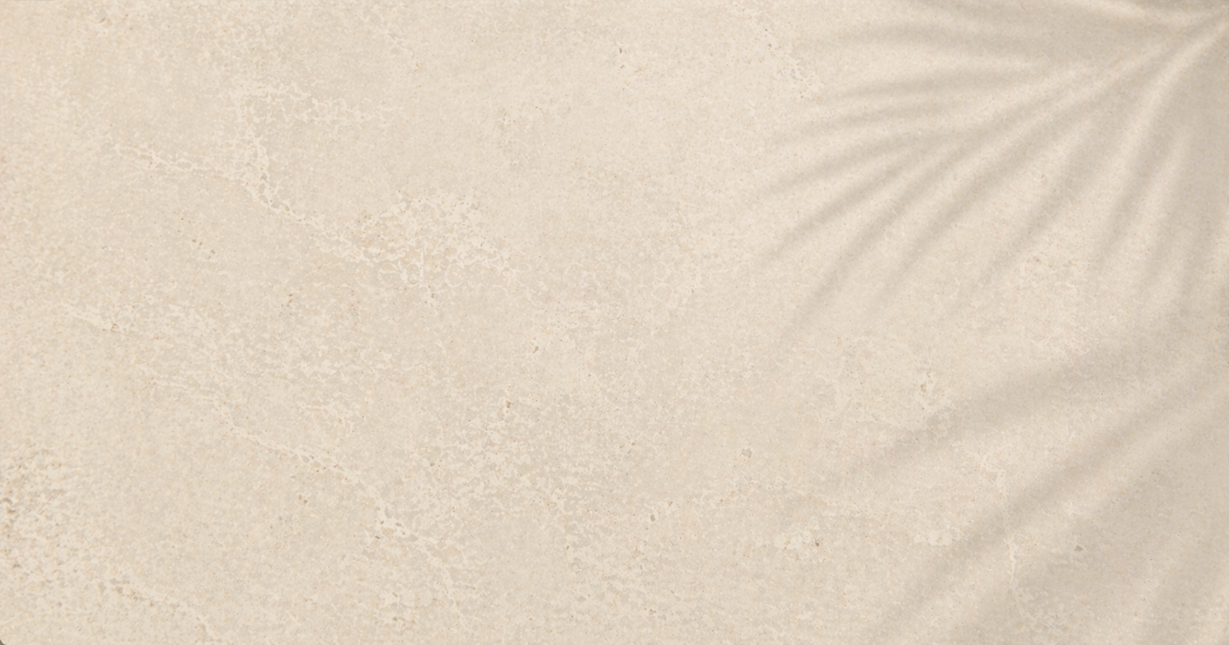 Light beige textured background with a subtle palm shadow in the upper right corner.