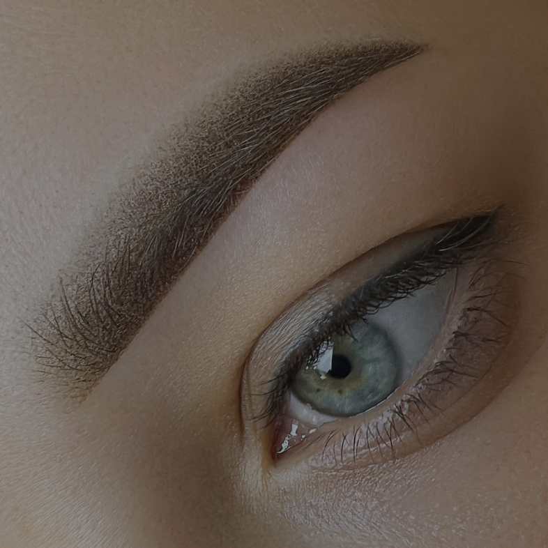 Powder Ombre Brows also known as Microshaded Brows