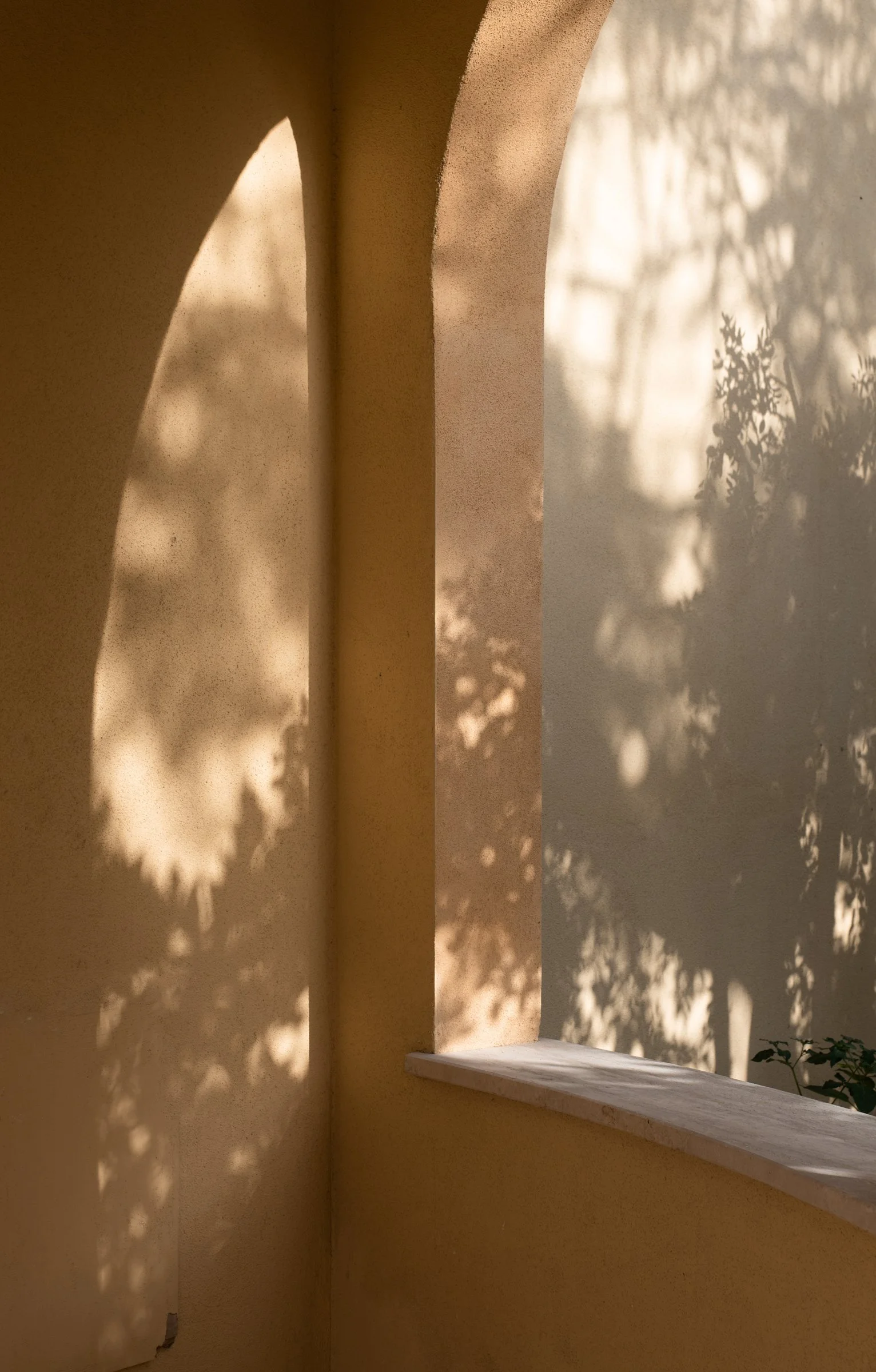 Sunlight casting shadows of tree branches and leaves on a yellow wall and windowsill.