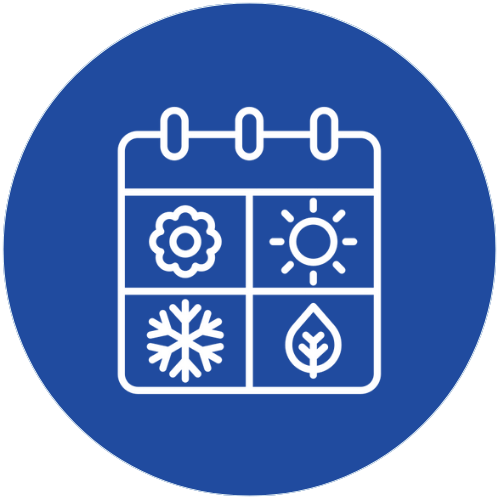 Big Bin Dealz holiday and seasonal merchandise