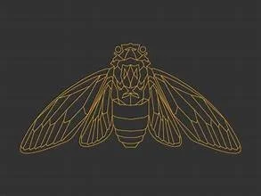 Minimalist gold line drawing of a bee on a black background.