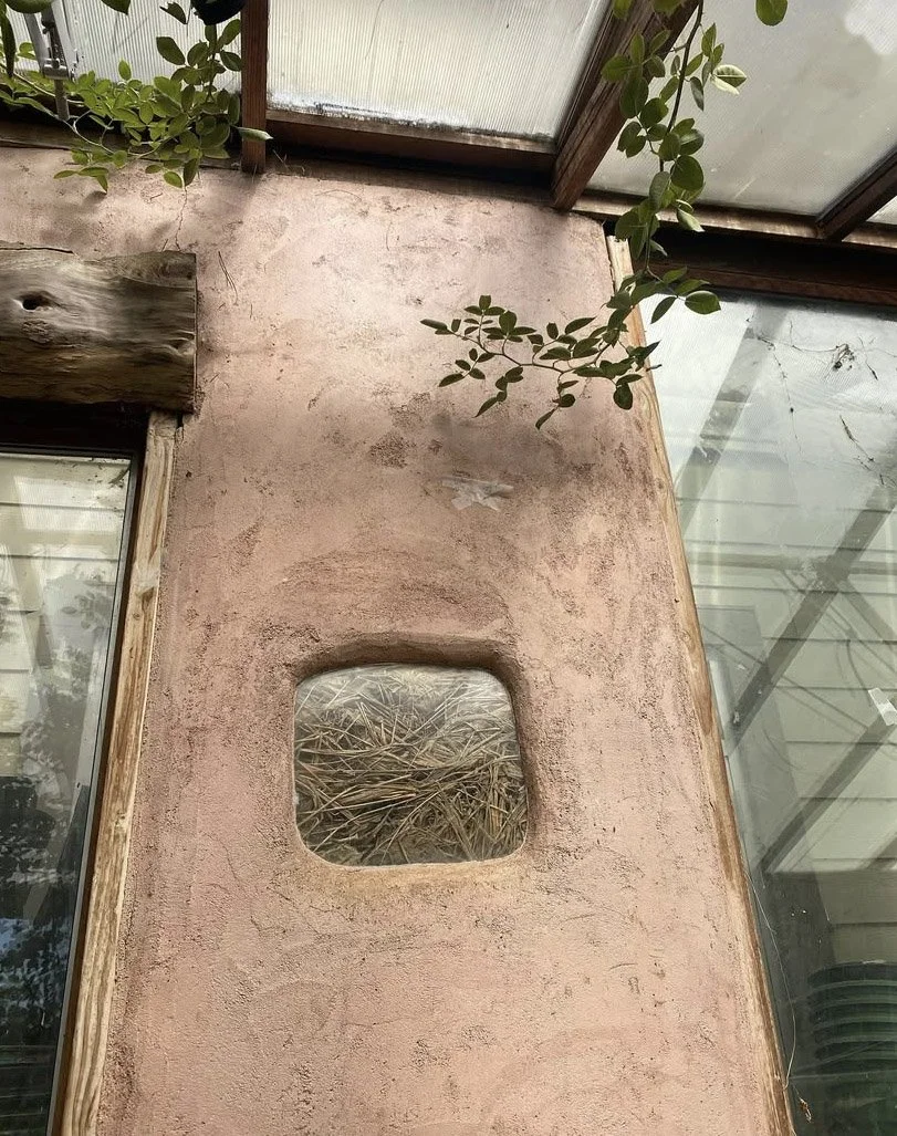 "Truth Window" provides an educational peak inside the wall and allows monitoring of the experimental material.